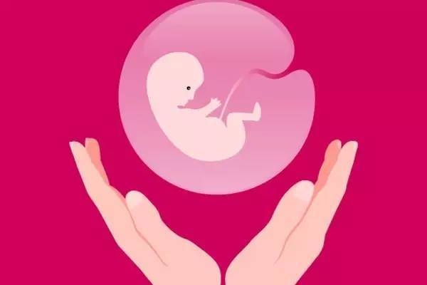 试管婴儿胚胎质量好为什么养囊失败