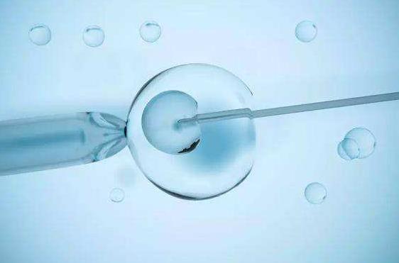 美国5个胚胎冻1年需要花多少钱